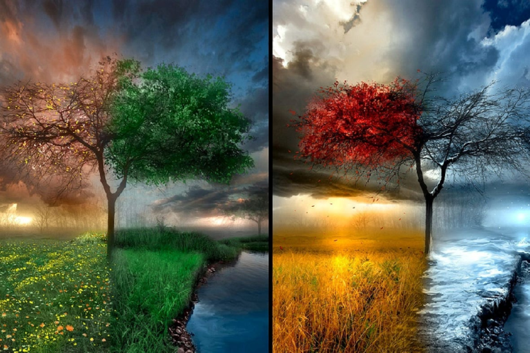 placeholder-9-1024x683 (7)